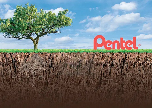 🌱 Introducing Our New Sustainability & Environment Page! 🌎