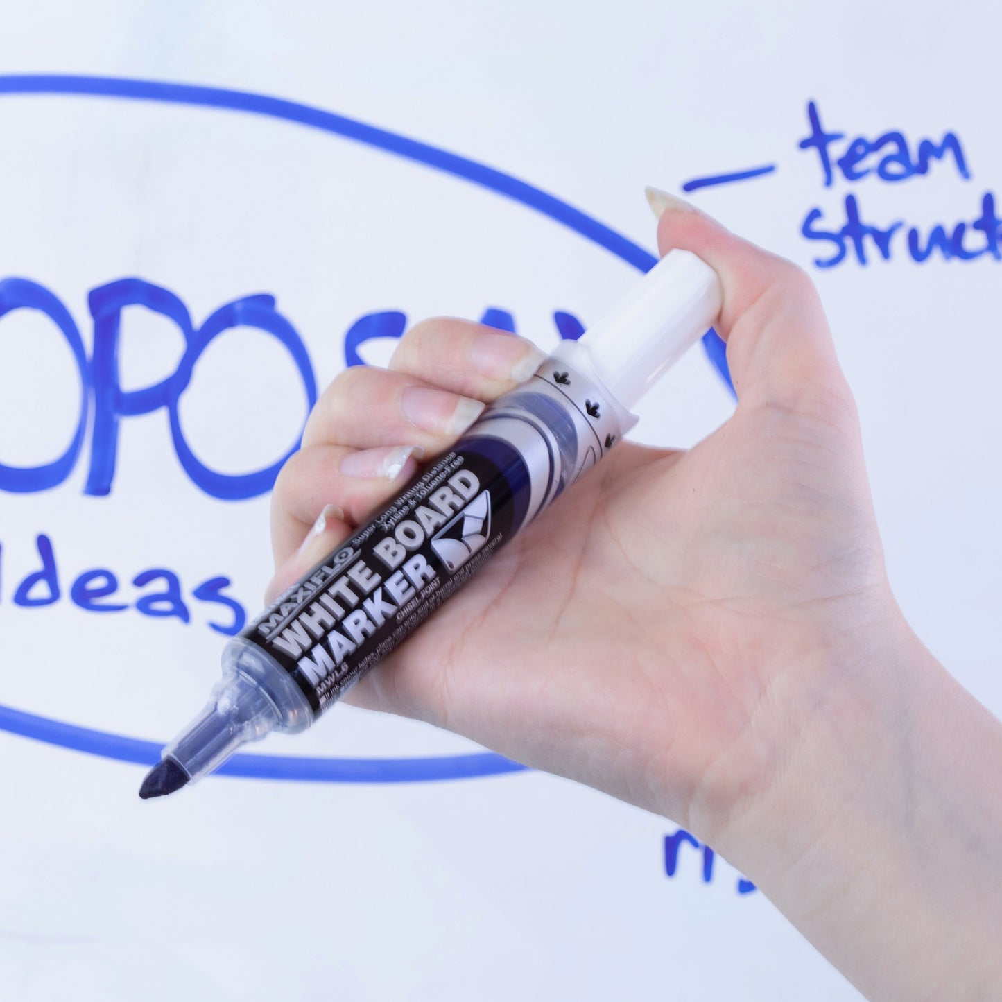 Maxiflo White Board Marker, Chisel Point (2.0/5.7mm) Blue Ink